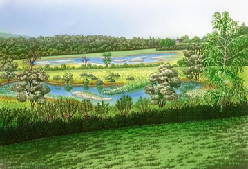Vision Hechtenloch