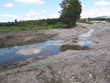 Das neue Bachbett Das neue Bachbett